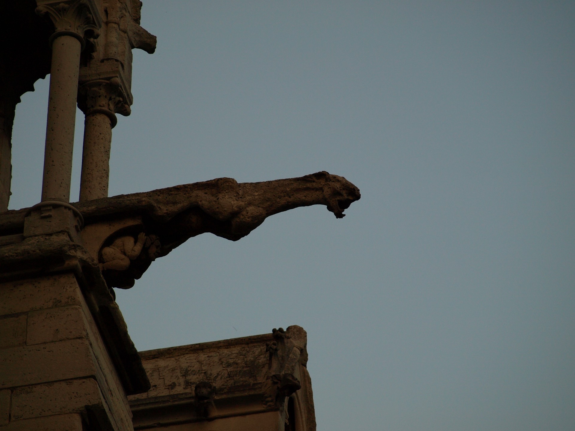 Long Gargoyle